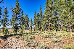 Lot in Desirable Lahontan