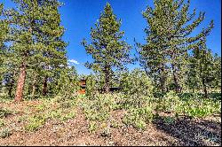 Lot in Desirable Lahontan