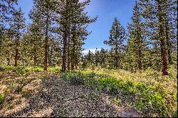 Lot in Desirable Lahontan