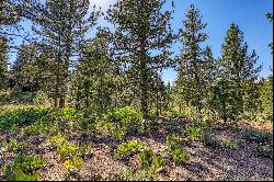 Lot in Desirable Lahontan