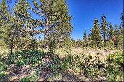 Lot in Desirable Lahontan