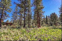 Lot in Desirable Lahontan