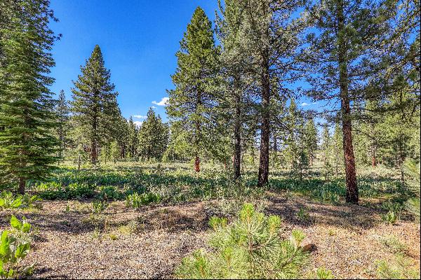 Large Martis Valley Lot