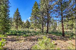 Large Martis Valley Lot