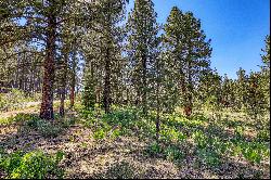 Large Martis Valley Lot