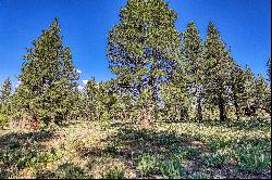 Large Martis Valley Lot