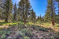 Large Martis Valley Lot