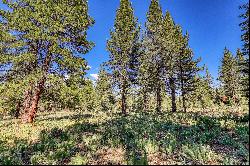 Large Martis Valley Lot