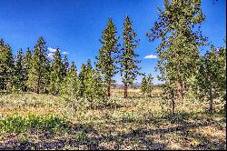 Large Martis Valley Lot