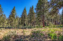 Large Martis Valley Lot