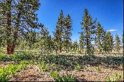 Large Martis Valley Lot