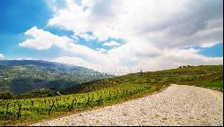 5-star Vineyard, in the Douro Valley, North of Portugal
