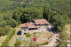 Tuscany - RESTORED COUNTRY HOUSE WITH HOBBY VINEYARD FOR SALE NEAR AREZZO