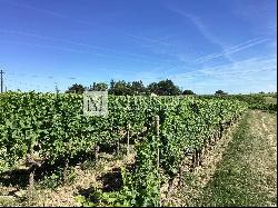 For sale at Monbazillac, nice organic vineyard estate of 7ha97