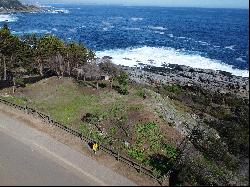 Spectacular plot with ocean front in Zapallar