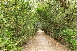 Quinta Do Senhor Da Serra, Belas, Sintra