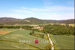 Tuscany - 190-HECTARE ESTATE WITH VINEYARDS FOR SALE IN MAREMMA