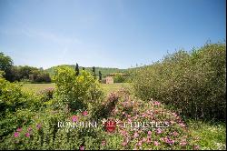 190-HECTARE ESTATE FOR SALE IN MAREMMA, TUSCANY Romolini - Christie's