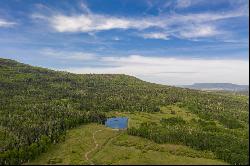 Mountain Bird Ranch