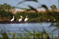 Danube Delta Retreat at Sulina, between the Danube and the Black Sea