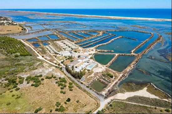 Tavira