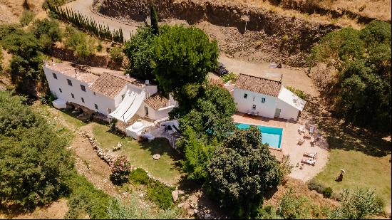 Charming old mill converted into finca in Coin