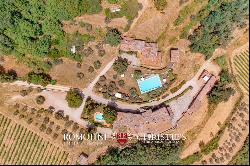 Chianti Classico - HISTORIC ESTATE WITH VINEYARDS FOR SALE IN GREVE, TUSCANY