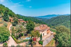 Chianti Classico - HISTORIC ESTATE WITH VINEYARDS FOR SALE IN GREVE, TUSCANY