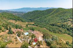 HISTORIC PROPERTY WITH VINEYARDS FOR SALE CHIANTI CLASSICO