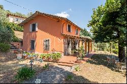 Charming Cottage on the hills of Lucca