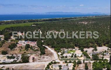 Plot in Comporta with rice fields view near the beach