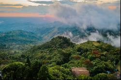 Natural Development in Tourist Road