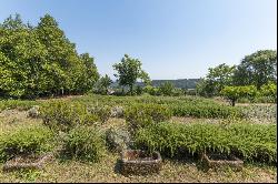 Homestead, Viseu