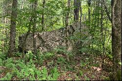 The Chapin Estate - Lakefront lot on Swinging Bridge