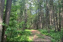 The Chapin Estate - Lakefront lot on Swinging Bridge