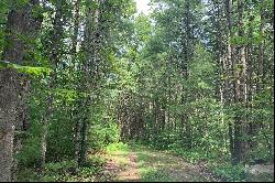 The Chapin Estate - Lakefront lot on Swinging Bridge