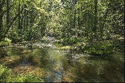 The Chapin Estate - Lakefront lot on Swinging Bridge