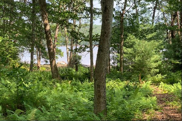 The Chapin Estate - Lakefront lot on Swinging Bridge