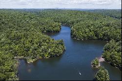 The Chapin Estate - Lakefront lot on Swinging Bridge