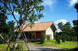 Rustic Villa in Chiang Mai Area