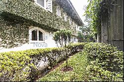 House overlooking the treetops