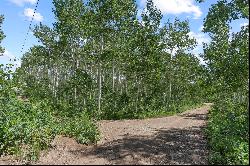 Beautiful Secluded Lot Close to Deer Valley Ski Resort