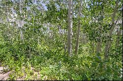 Beautiful Secluded Lot Close to Deer Valley Ski Resort