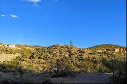 Saguaro Forest 367 & 368