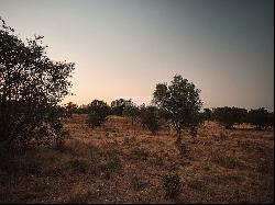 Alentejo Coast CentralPT