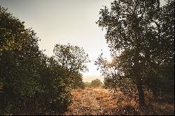 Alentejo Coast CentralPT