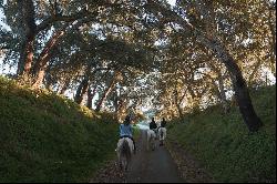  , Alentejo Coast CentralPT