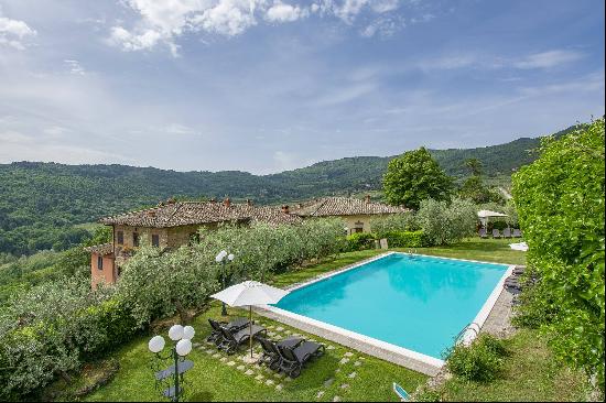 Villa with vineyards and olive groves