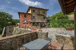 Villa with vineyards and olive groves