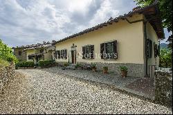 Villa with vineyards and olive groves